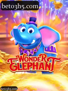 WonderElephant